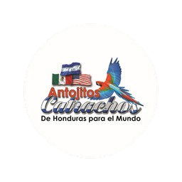 Logo de Antojitos Catrachos - Food Truck Hondureño en Springdale AR